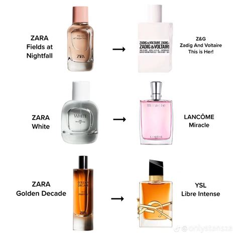 Zara Perfume Dupes For Women 2024 – The Ultimate。